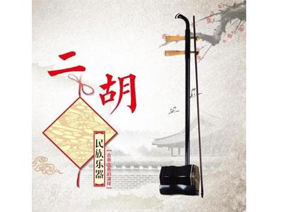 招聘桂林二胡家教老师